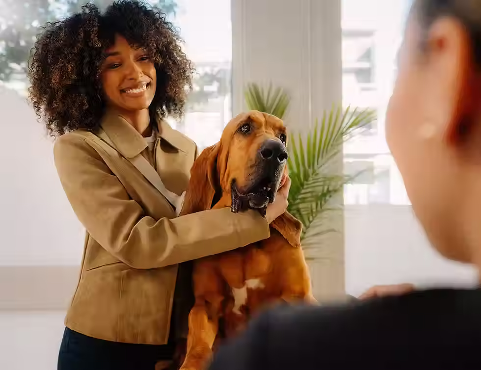 Woman and a dog a vet reception